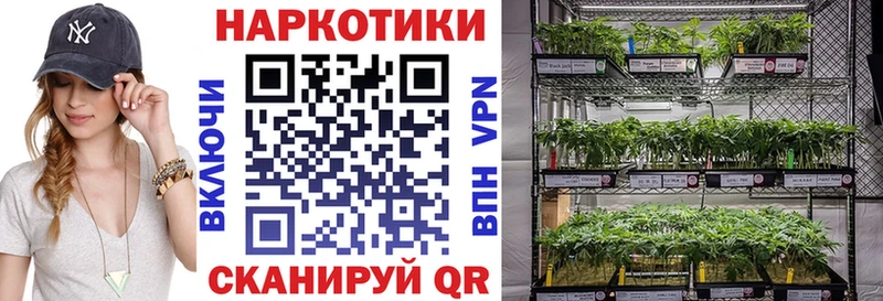 Какие есть наркотики Рыбинск Бошки Шишки  APVP  ГАШ  Псилоцибиновые грибы  Мефедрон 