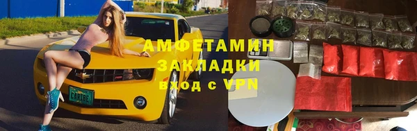ГАЛЛЮЦИНОГЕННЫЕ ГРИБЫ Белокуриха