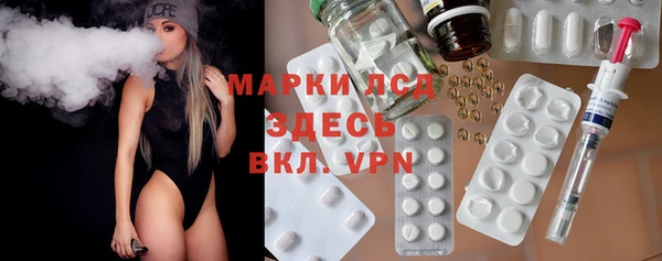 ГАЛЛЮЦИНОГЕННЫЕ ГРИБЫ Белокуриха