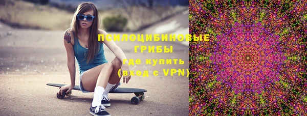 ГАЛЛЮЦИНОГЕННЫЕ ГРИБЫ Белокуриха
