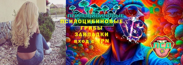 ГАЛЛЮЦИНОГЕННЫЕ ГРИБЫ Белокуриха