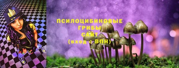 ГАЛЛЮЦИНОГЕННЫЕ ГРИБЫ Белокуриха