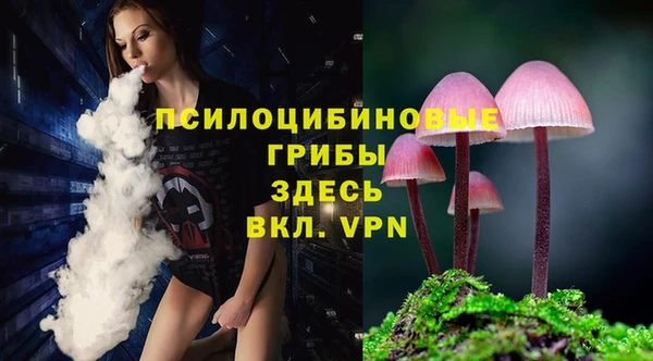 MESCALINE Щигры