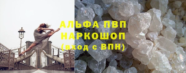 ГАЛЛЮЦИНОГЕННЫЕ ГРИБЫ Белокуриха