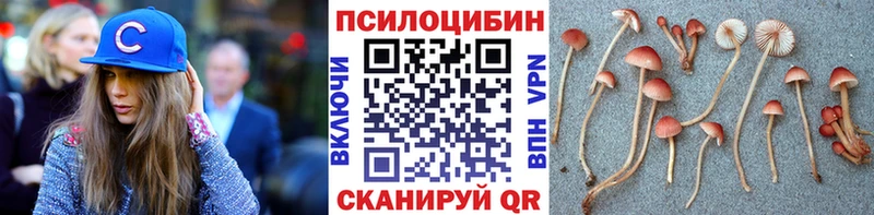 Галлюциногенные грибы прущие грибы  OMG ссылка  Рыбинск 