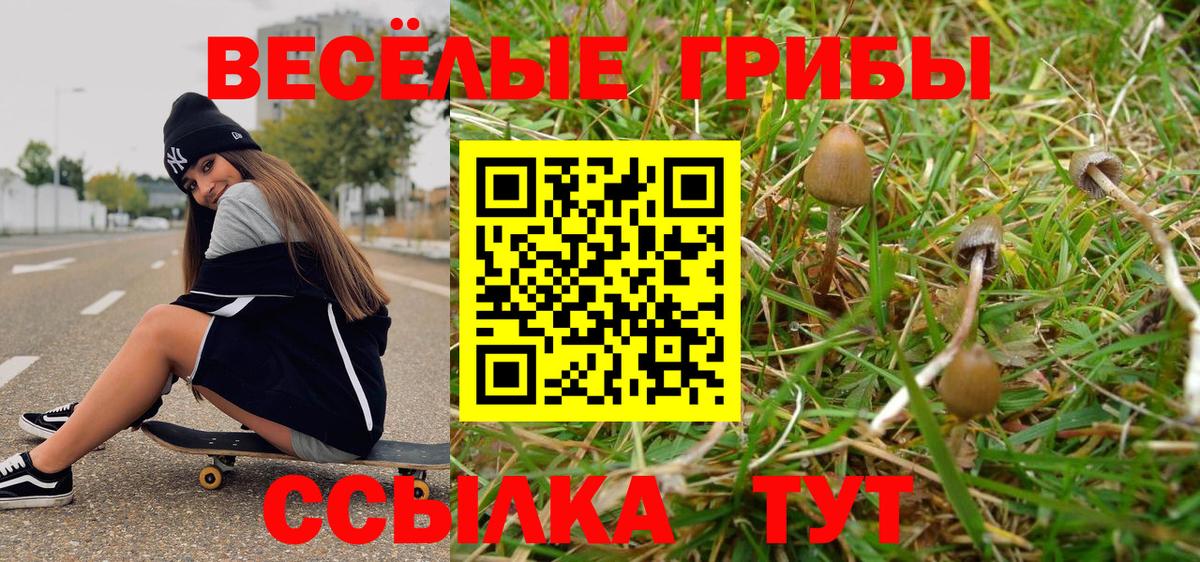 Псилоцибиновые грибы мухоморы  Вход с VPN  Рыбинск 