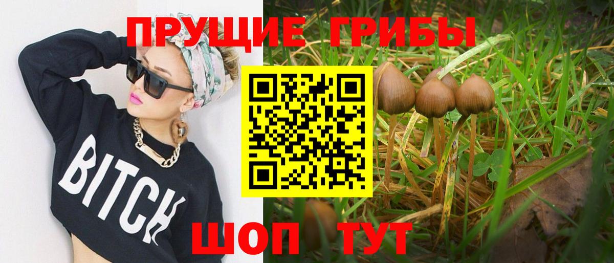 Псилоцибиновые грибы мицелий Рыбинск